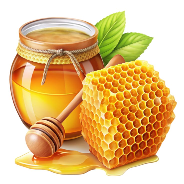 download honey and honeycomb realistic item for free