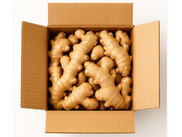 Ginger Export fresh organic ginger root 5 lb bulk raw whole ginger for cooking, juicing, tea, wellness & natural remedies