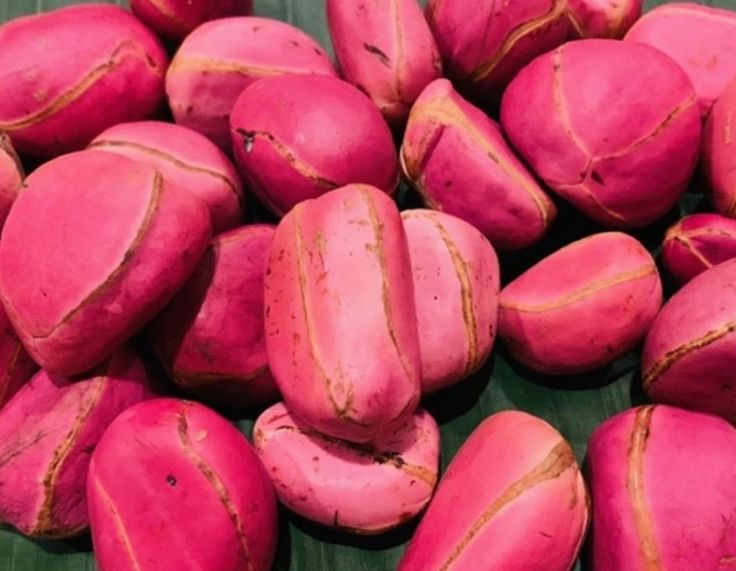 kola slot777 situs poker idn slot online togel gacor hari ini