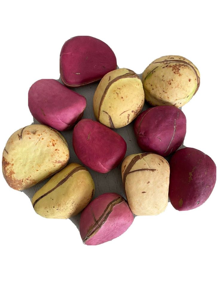 kolanuts organic obi abata oloju meji garciniakola very fresh 100g (5 8 nuts)