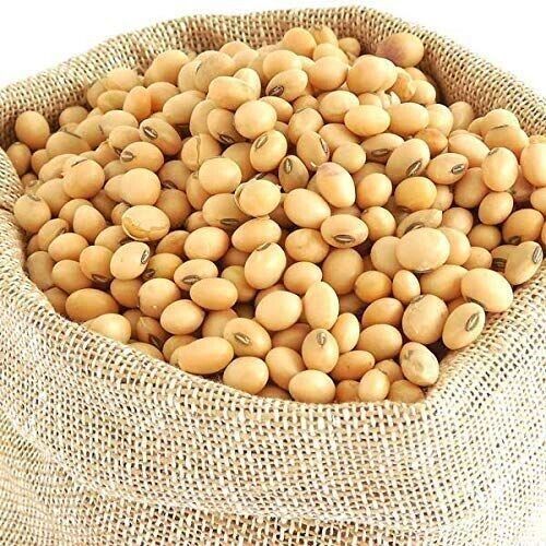 Soya Beans Export organic soya beans pure quality sri lankan original product 100% natural ebay
