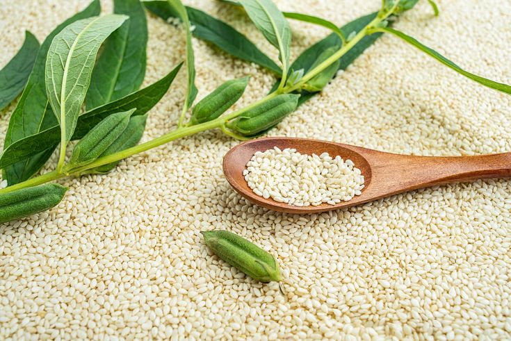 the journey of sesame from farm to plate hl agro