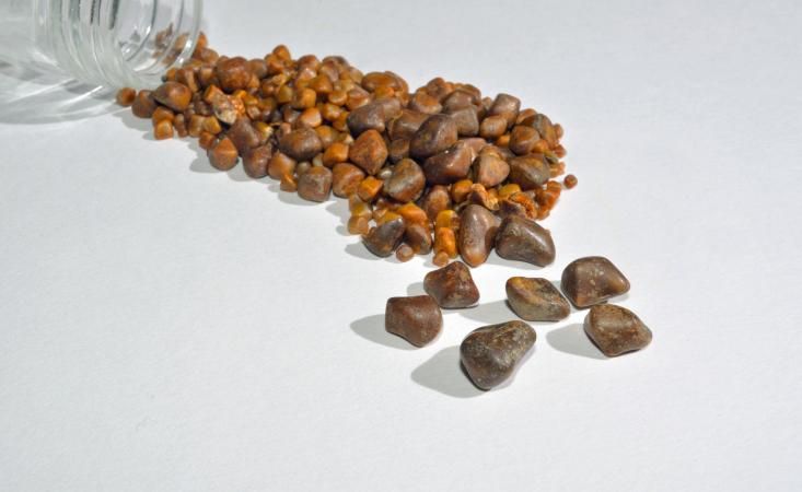 Ox Gallstone Export gallstone